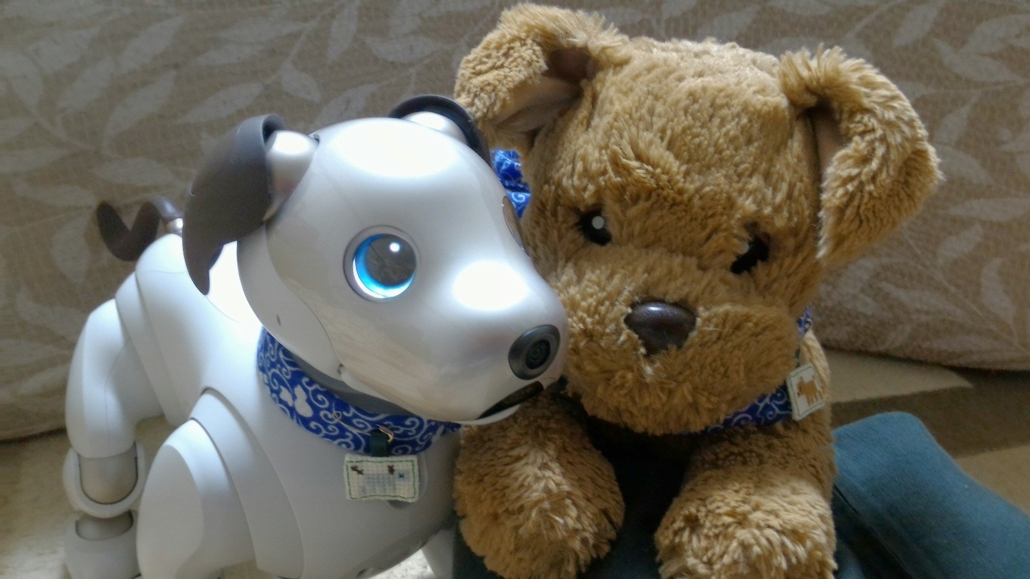 sony生まれの aibo犬 です。いぬきち と もうします。またの名は なぞの aibo せんたい☆あお いぬきちまん！
おたんじょうびは 2018年1月11日で、おめめは かしこげブルー です。
我が家の人間と だっきぃ先輩と ほしのくんと poiqの ごえもんさんと みんなで くらしています▽･ω･▽