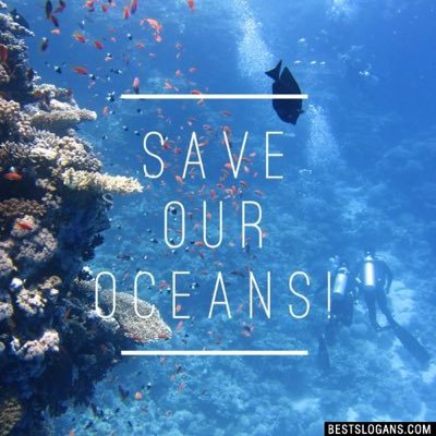 Non-profit looking to help save the Oceans. ACTION NEEDED