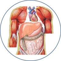Metabolic Medicine (@metamedteam) 's Twitter Profile