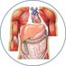 Metabolic Medicine (@metamedteam) Twitter profile photo Metabolic Medicine (@metamedteam) Twitter profile photo