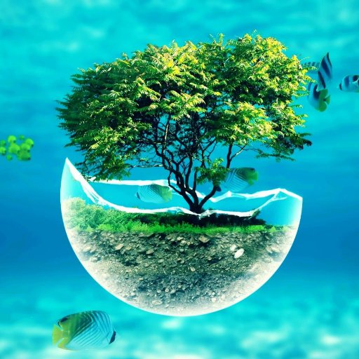 mtz_ngel's profile picture. 