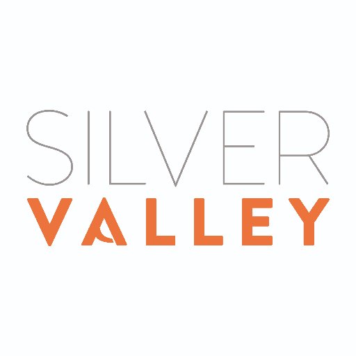 SilverValley_ Profile Picture