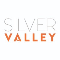 Silver Valley(@SilverValley_) 's Twitter Profile Photo