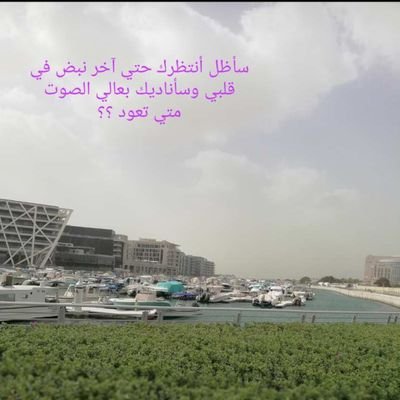 Ali42715448's profile picture. ‏‏لا تساومني ف غلاك