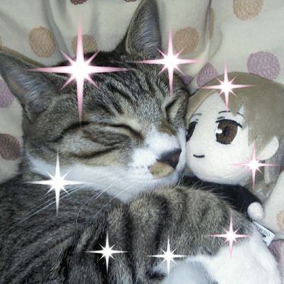 三色 (@mokamisama) / Posts / X