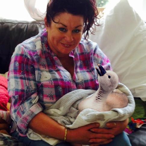 honkhonksnap's profile picture. Just a goose photographer living on a cosy farm in Northamptonshire. DM for quotes on bespoke goose photography shoots. #HonksOverHate