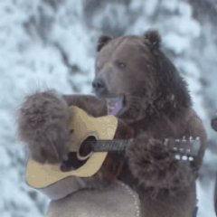 maxdimur's profile picture. 