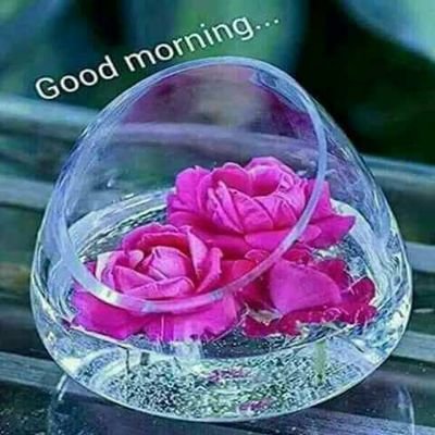 AustinInye's profile picture. Without Purpose existence has no meaning