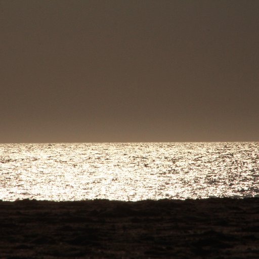 MatteoFiacchino's profile picture. filmmaker