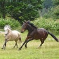 sandoznovartis's profile picture. 