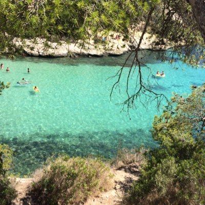 luisasimo's profile picture. 