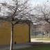 Ban S Malmanis Copenhagen (@ban_fdez) Twitter profile photo Ban S Malmanis Copenhagen (@ban_fdez) Twitter profile photo