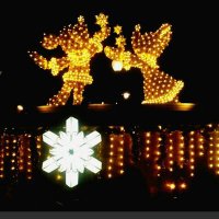 ぺん (@redxwhitexblack) Twitter profile photo