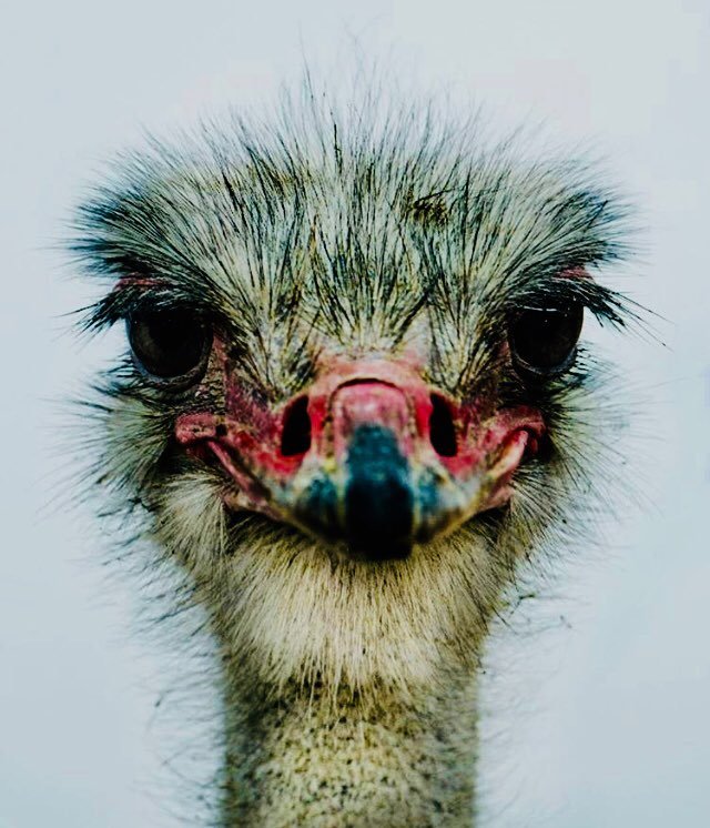 yyz2hnl's profile picture. 