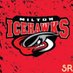 Milton Icehawks (@miltonicehawks1) Twitter profile photo