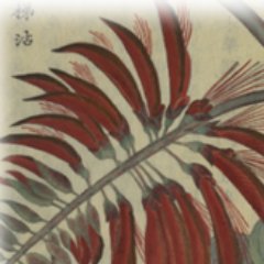 UHMLibOkinawa's profile picture. 