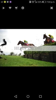 conditional jockey@ enda bolger racing