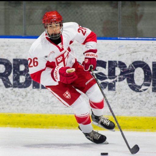 @hockeyscouting