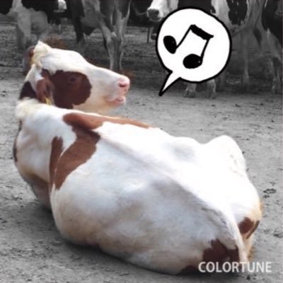 yucapy19's profile picture. 選ばれしロバ