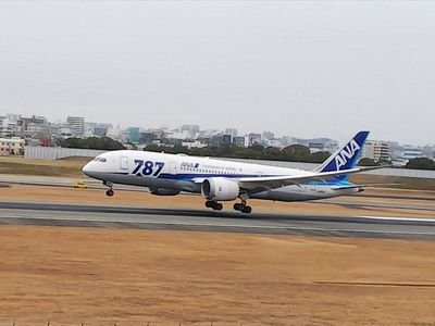 旅好き✈️ドライブ好き🚙食べること🍴好き家庭菜園も季節ごとに色々と🥒🥕🍆🍅等々
無言フォロー失礼いたします。