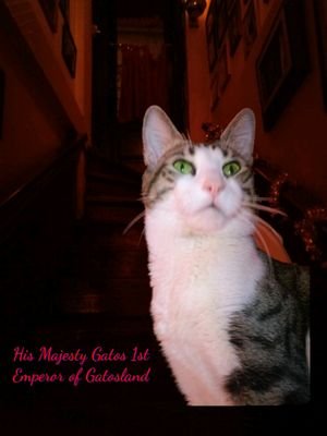 imealien's profile picture. Δεδομένης μιας αρκετά συγκλίνουσας γνωσιακής βιολογίας, θα μπορούσαμε να υποθέσουμε ότι οι εξωγήινοι αρέσκονται στις φιλοσοφικές συζητήσεις. Θα δείξει...