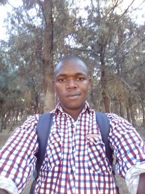 SBenngetich's profile picture. Teacher