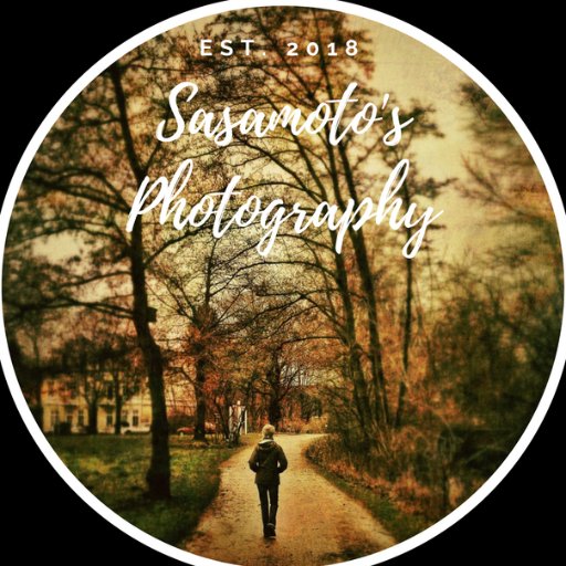 SasamotoPhoto's profile picture. 