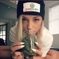 BitRePill (@gr8xtc) 's Twitter Profile