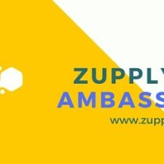 Vaishal99259445's profile picture. 