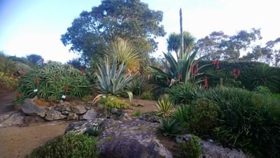 Jardin exotique & botanique, présentant plus de 3500 variétés de plantes de l'hémisphère sud ! Vue imprenable sur la baie de Morlaix ! Voyage assuré !