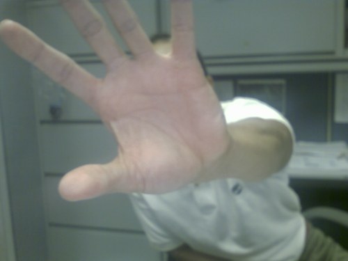 don_xvi's profile picture. I want a California tan and a trophy wife