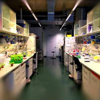 El Kasmi Lab (@farid_el_kasmi) 's Twitter Profile Photo El Kasmi Lab (@farid_el_kasmi) 's Twitter Profile Photo