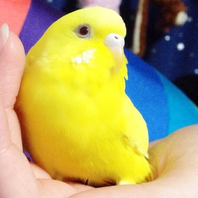 おみきさんのプロフィール画像