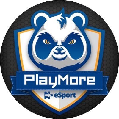 Compte officiel de la team PlayMore eSport Paladins