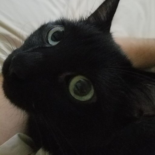 jglucky's profile picture. Consultant, Trader and crypto enthusiast.  My thoughts are mine and mine alone and are not the views of my employer.