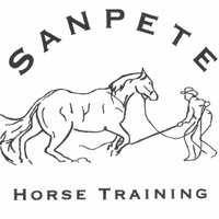 Sanpete Horse Training(@sanpetehorse) 's Twitter Profile Photo