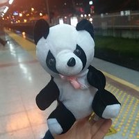 Mutant Panda (@mutantpandaofcl) 's Twitter Profile