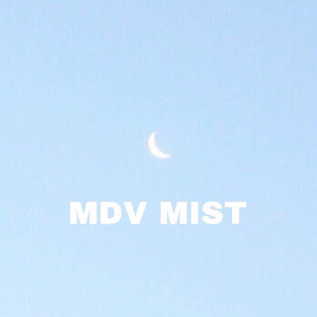 Official Meadowvale MIST account. Keep updated on our blog posts through our twitter account!! For inquires, DM us through twitter or IG ; mdv_msa
