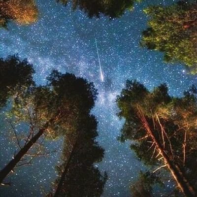 CRUZLetyami's profile picture. 