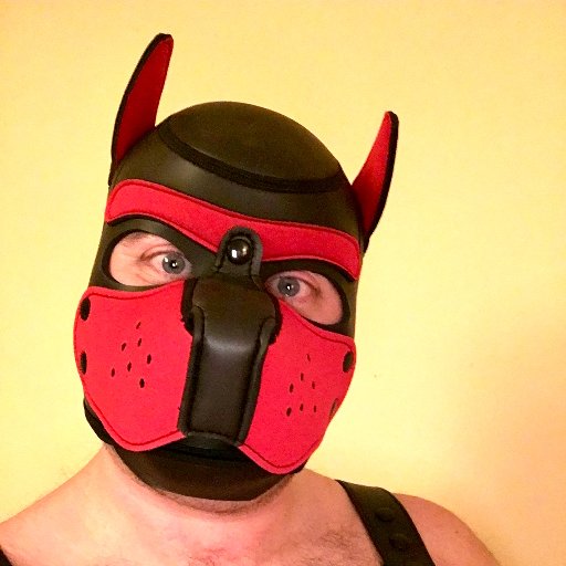 Gear-loving pup who hangs out in London and occasionally the North. Partner in crime with @BarkleyPup. #TeamPierced. Expect #NSFW, 18+ only.