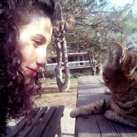 Jale Gül(@jallegul) 's Twitter Profileg