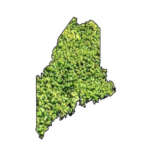 We are a Community of Maine Hop Farmers -  Encouraging Collaboration, Cooperation, Sustainable Farming Practices, Crop Quality,  and Research.