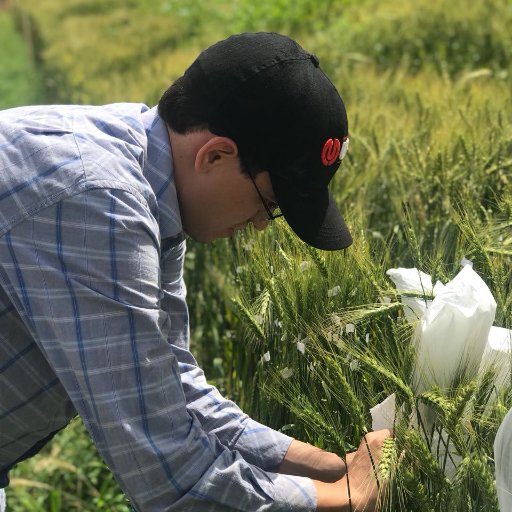 Franklin Machado Profile