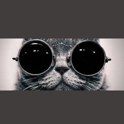 Retro gözlüklü kedi👓😼