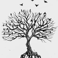 Fergal Bonio (@fergalbonio) 's Twitter Profile