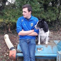 David Kelly (@david_kelly_1) Twitter profile photo