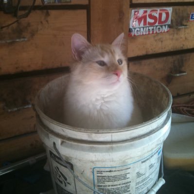 FixAutos's profile picture. Over 40 yrs. of repair experience. happy to give free estimates