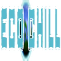 chill_servernet's profile picture. An online server for the game Eco Global Survival.