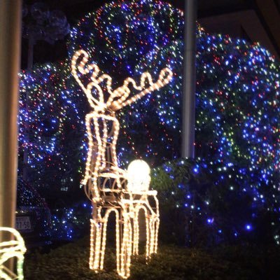 6m26mim's profile picture. 成人済み社会人。お取引用アカウント。基本📮。取引経験多数有。DM開放済。迅速な連絡、お取引が出来る方よろしくお願い致します。