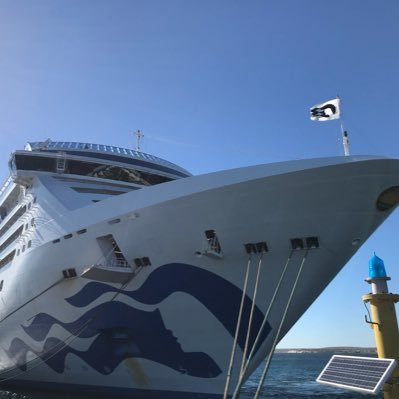 SentirPatagonia's profile picture. cruise shore excursions for travelers arriving to Puerto Madryn and Patagonia!!! Penguins, Elephant Seals #blueballoon #cruiseshoreexcursions